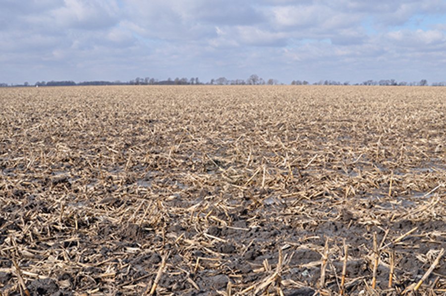LAND AUCTION - 189.79+/- Acres offered in 2 Tracts, 98% Tillable Farmland